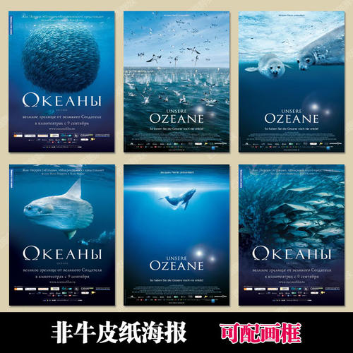 单位要学历证书照片